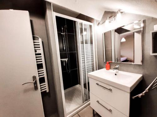 a bathroom with a shower and a sink and a mirror at Calme & Cosy - Parking privé-Gare in Amboise