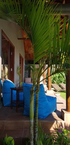 a palm tree in the middle of a patio at Ombak Resort at Ekas , a luxury surf and kite destination, Close to Inside Ekas beach in Ekas