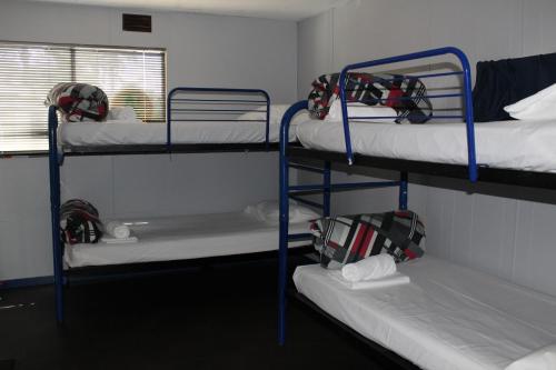 Katil dua tingkat atau katil-katil dua tingkat dalam bilik di Batemans Bay Holiday Park & Hostel
