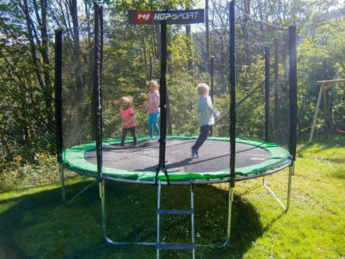 a group of children playing on a trampoline at Almbauer Morgenbesser in Trattenbach