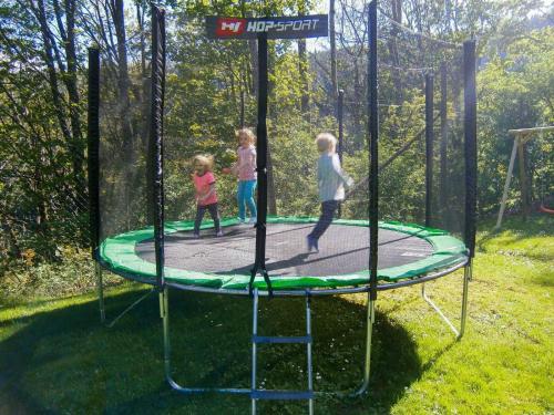 eine Gruppe von Kindern, die auf einem Trampolin spielen in der Unterkunft Almbauer Morgenbesser in Trattenbach