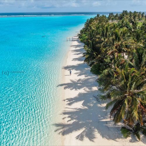 eine Luftaufnahme eines Strandes mit Palmen und dem Meer in der Unterkunft Summer Sky Thoddoo in Thoddoo-Atoll