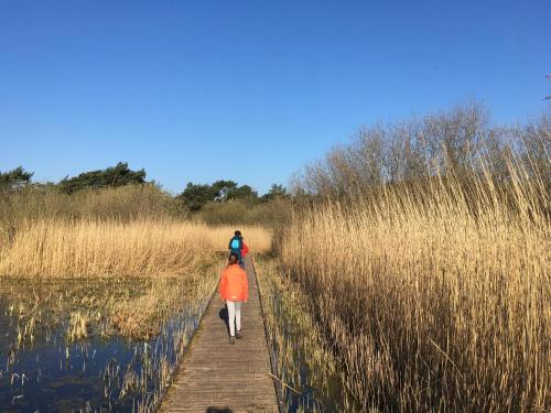 two people walking on a wooden path next to a lake at Vakantiewoning Pelterheggen in Grote Heide