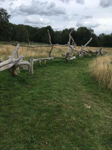 a pile of logs in a field with grass at Vakantiewoning Pelterheggen in Grote Heide