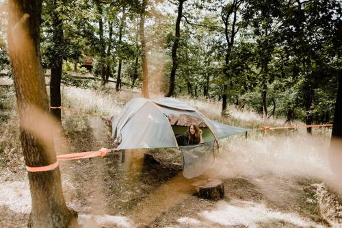 a tent with a dog sitting in it next to a tree at Naturtraum Georgshöhe in Thale