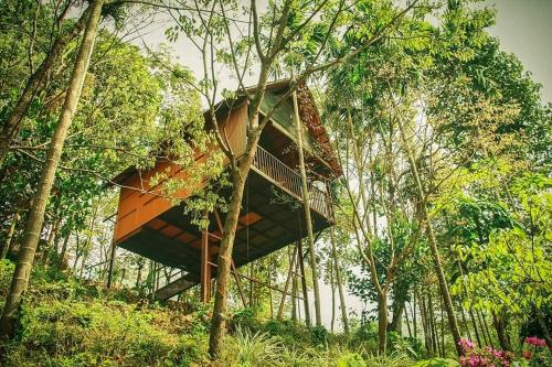 a tree house in the middle of the forest at The Hillock-quiet by the Mountains in Vallikavungal