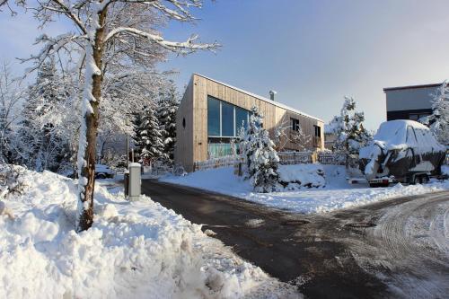 a house is covered in snow with a driveway at Apartment Monolith Black Forest in Schonach