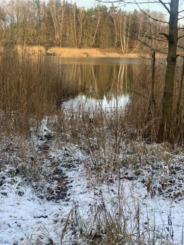 a body of water with snow on the ground at Agro na Wapniarni in Białla