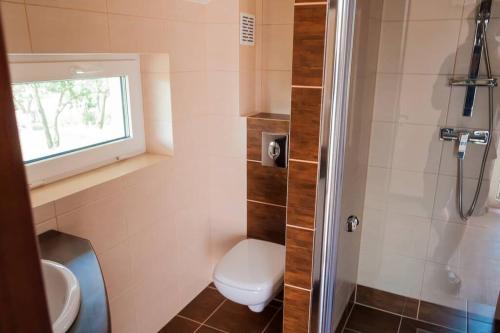 a bathroom with a toilet and a shower with a window at Apartament na Mazurach in Ostróda