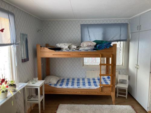 ein Etagenbett mit zwei Hunden im unteren Etagenbett in der Unterkunft Bärvallen 388 in Sälen