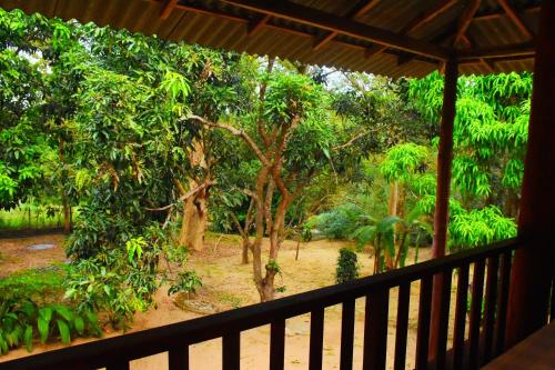 Taman di luar Jungle House