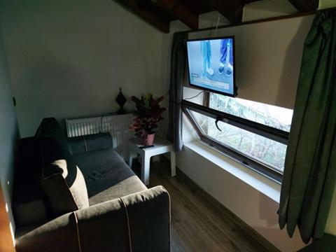 TV a/nebo společenská místnost v ubytování Danailovi Guest House