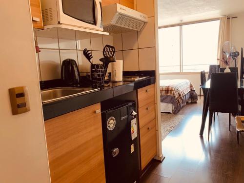 a small kitchen with a sink and a microwave at Metro U de Chile Santiago Centro in Santiago