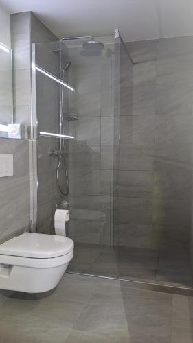 ein Bad mit einem WC und einer Glasdusche in der Unterkunft Ferienwohnung Parsennblick mit Dachterrasse in Davos