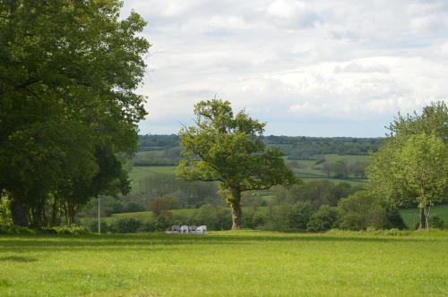 Billede fra billedgalleriet på Chambres d'hôtes Maison Les Galettes i Rezay