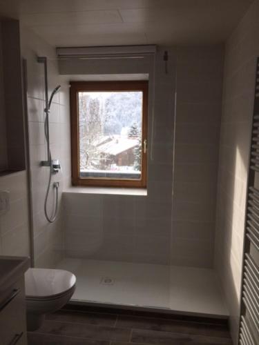 uma casa de banho com um WC e uma janela em Ferienwohnung Alpenveilchen im Oberallgäu em Missen-Wilhams