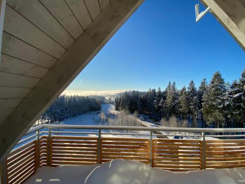 a view from the balcony of a ski resort in the snow at Berghaus Freiburg - Appartement Hotel auf dem Schauinsland in Oberried