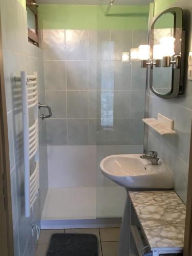 une salle de bain avec un lavabo et un miroir dans l'établissement GITE*** DES BARAQUES, à Fontenoy-le-Château