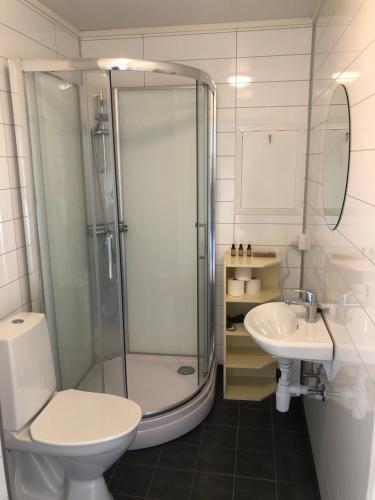 a bathroom with a shower and a toilet and a sink at Apartment for holiday in Nyksund in Nyksund