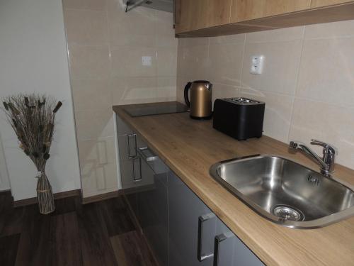 Una cocina o cocineta en Černý Tulipán - Apartmán 4