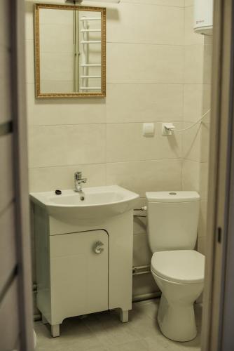 a bathroom with a toilet and a sink and a mirror at Bratkivchanka in Yablunytsya