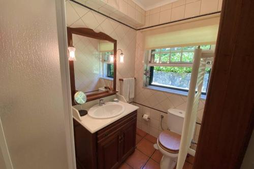 Un baño con lavabo, inodoro y espejo. en Green Villa Gerês, en Valdosende