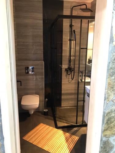 a bathroom with a toilet and a shower at Planinski biser Mokra Gora in Mokra Gora