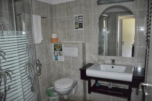 a bathroom with a sink and a toilet and a mirror at Casuta Didi in Brezoi