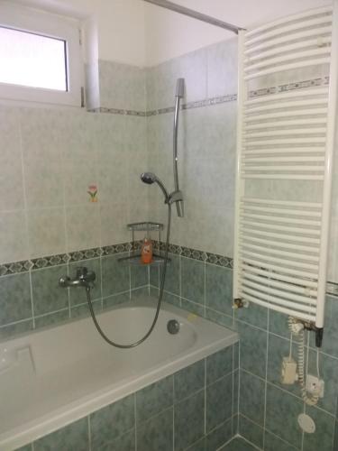 een badkamer met een douche en een bad bij Apartmán Jáchymov Krušné hory in Jáchymov