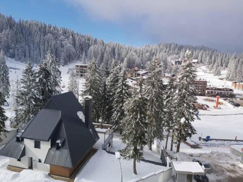 OLIMPIJSKA KUCA-Planinska Avantura semasa musim sejuk