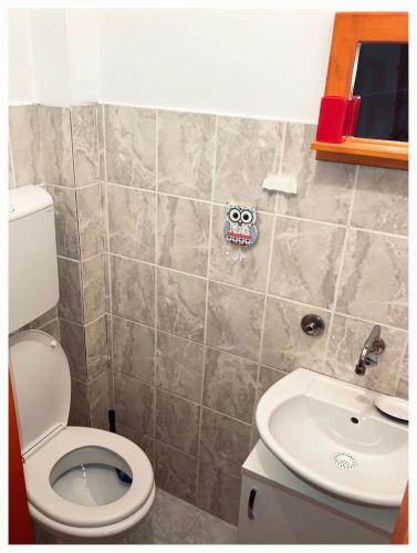 a bathroom with a toilet and a sink at Vila Jelena, Tara in Kaludjerske Bare