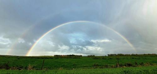 a rainbow in the sky over a green field at Ediths Haus in Rhauderfehn