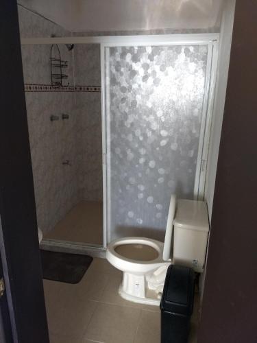 a small bathroom with a toilet and a shower at Depto Las Puertas de la Ria #4 in Campeche