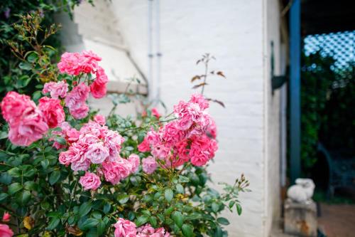 a bunch of pink roses in front of a door at Ningana Heritage Houses in Mudgee