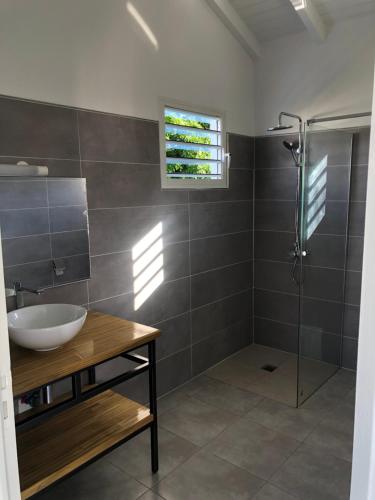Un baño con lavabo y ducha en Gîte Guidou, en Saint-Louis