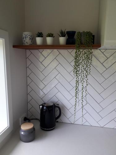 Photo de la galerie de l'établissement Fairy Magnolia B&B, à Otorohanga