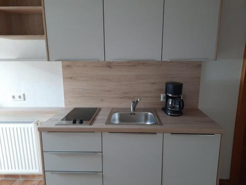 Kuchyň nebo kuchyňský kout v ubytování Gapphof