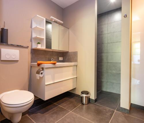 La salle de bains est pourvue d'une douche et de toilettes. dans l'établissement Ter Ename 3, à Audenarde