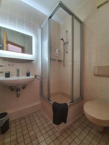 a bathroom with a shower and a toilet and a sink at Pension Reinhardshäusle in Reinhardshausen