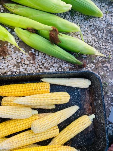 a tray of corn on the cob on the ground at GreenValleyGlamping in Šešče pri Preboldu