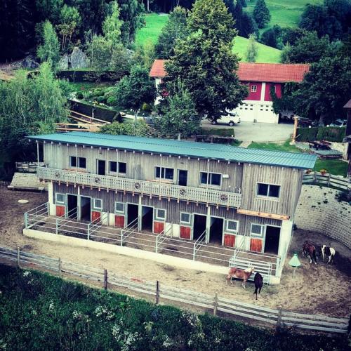a building with horses standing in front of it at Erlebnisbauernhof Gutschi Ranch in Kamp