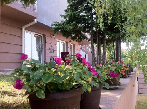 a row of flowers in pots in front of a house at VNVP Amber in Štip