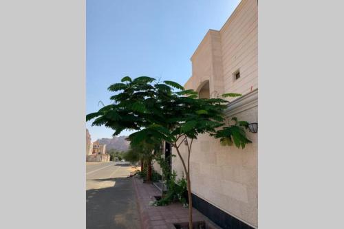 a building with a tree next to a street at Luxury fully furnished villa ڤيلا مؤثثة in AlUla