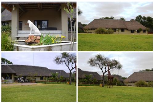 two pictures of a dog sitting on a bench in a backyard at Cradle Moon Lakeside Game Lodge in Muldersdrift
