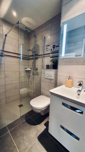 une salle de bain avec toilettes, lavabo et douche dans l'établissement Le Continental Beau T2 plein centre + parking, à Annecy
