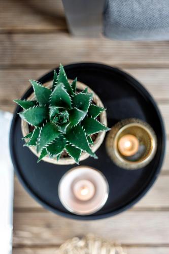 a black plate with a succulent plant and two candles at So Rosie in Babberich