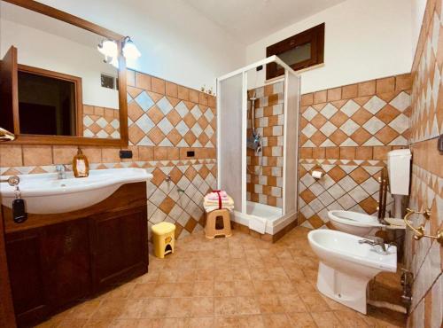 a bathroom with a sink and a toilet and a shower at Relax, mare, natura e cavalli Giuliano di Roma in Giuliano di Roma