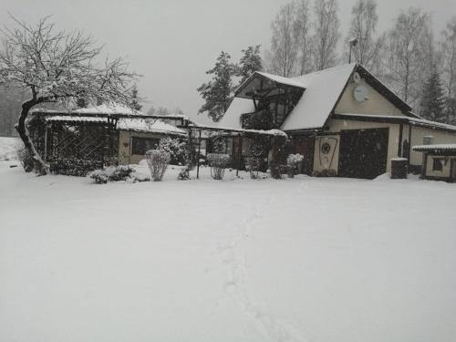 a house covered in snow in a yard at Aglonas Līdakas in Priežmale