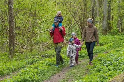 a family walking on a trail in the woods at Lugnåsberget Ekohotell in Mariestad