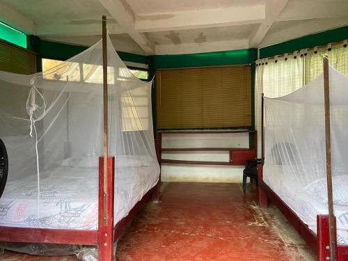 En eller flere senge i et værelse på Hostal El Chileno Sapzurro